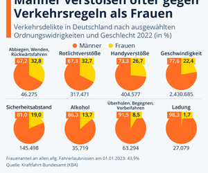 Grafik: Verkehrsverste auf deutschen Straen - Mnner weit vorn